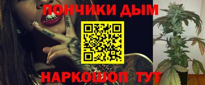 apvp Тулун