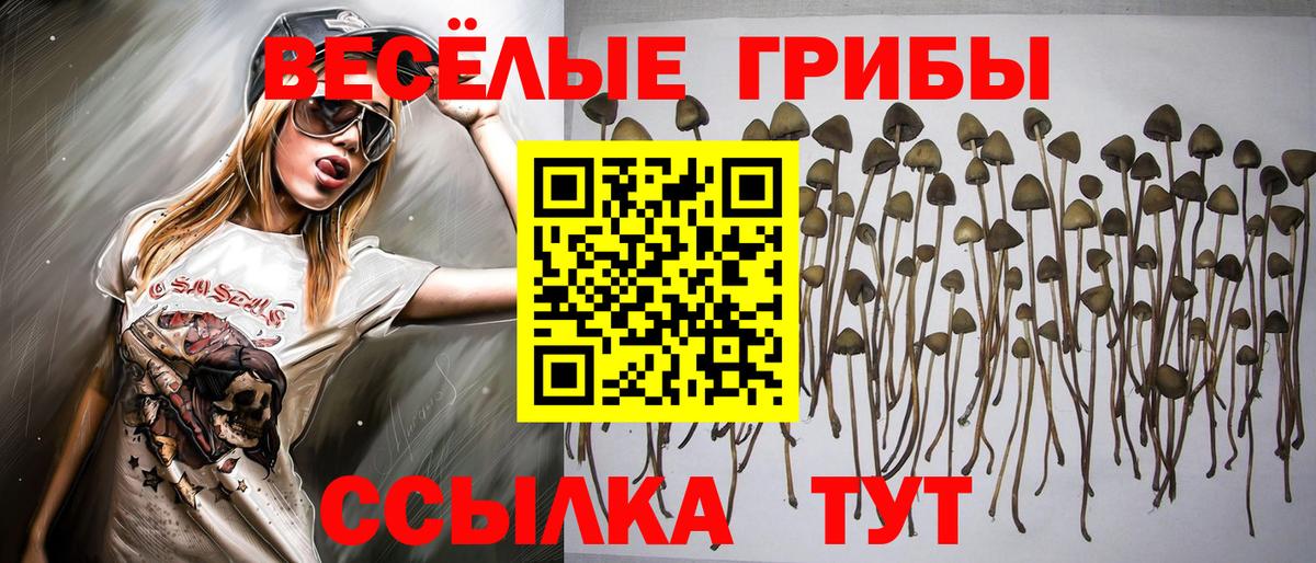 Галлюциногенные грибы GOLDEN TEACHER  Вход с VPN  Артёмовский 